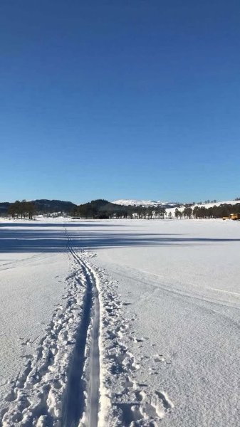 May be an image of arctic and ski slope