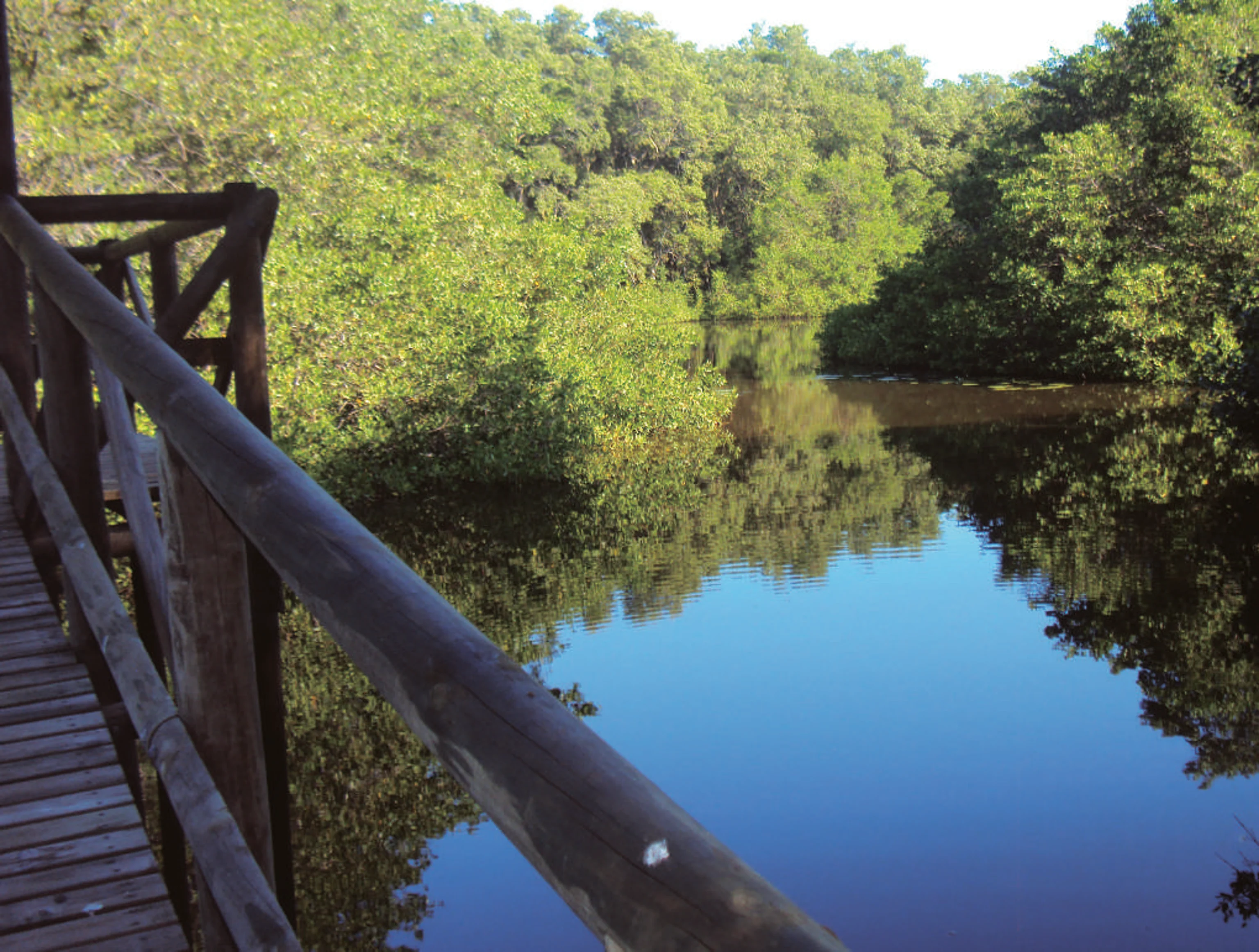 Vía Parque Nacional Isla de Salamanca