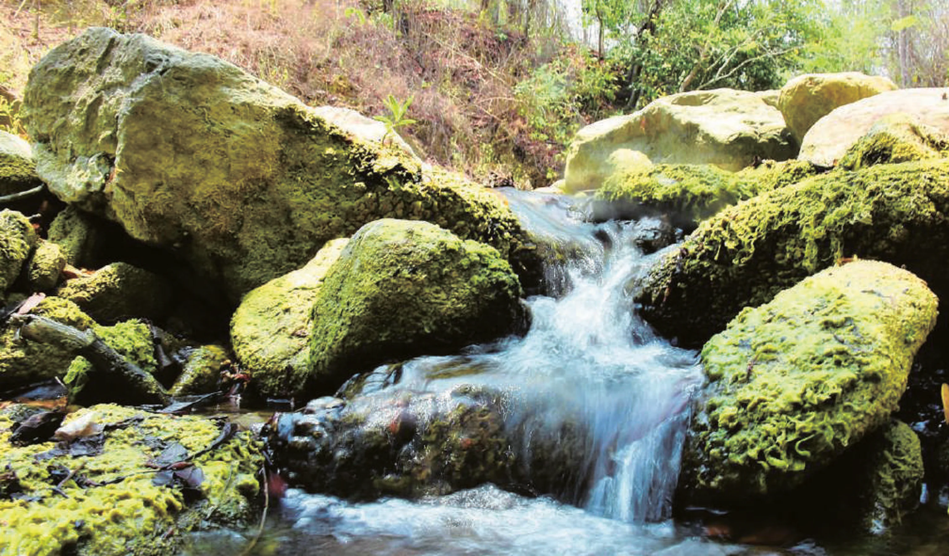 Reserva Natural Los Charcones