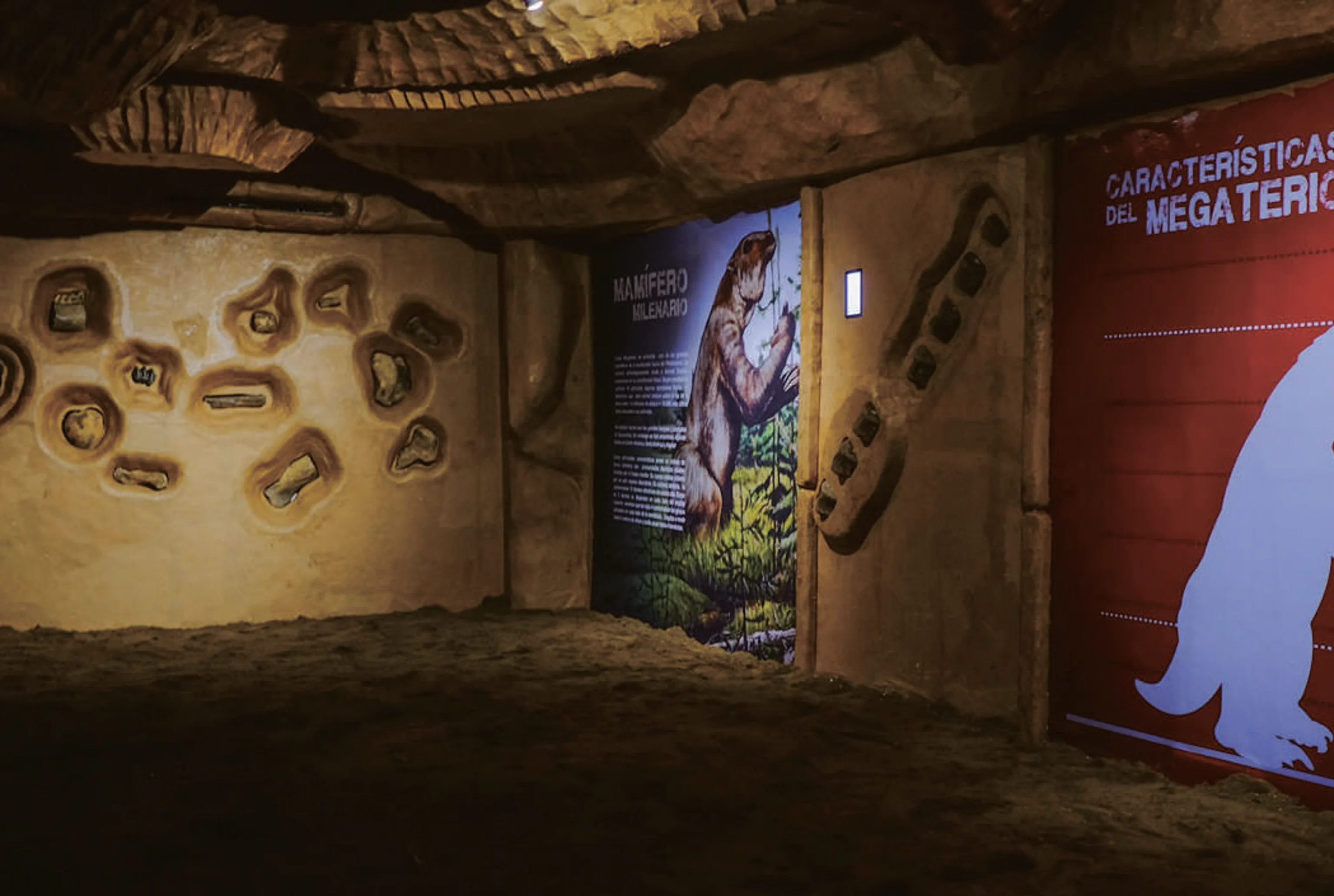 Museo Paleontológico de La Peña MUPAPA