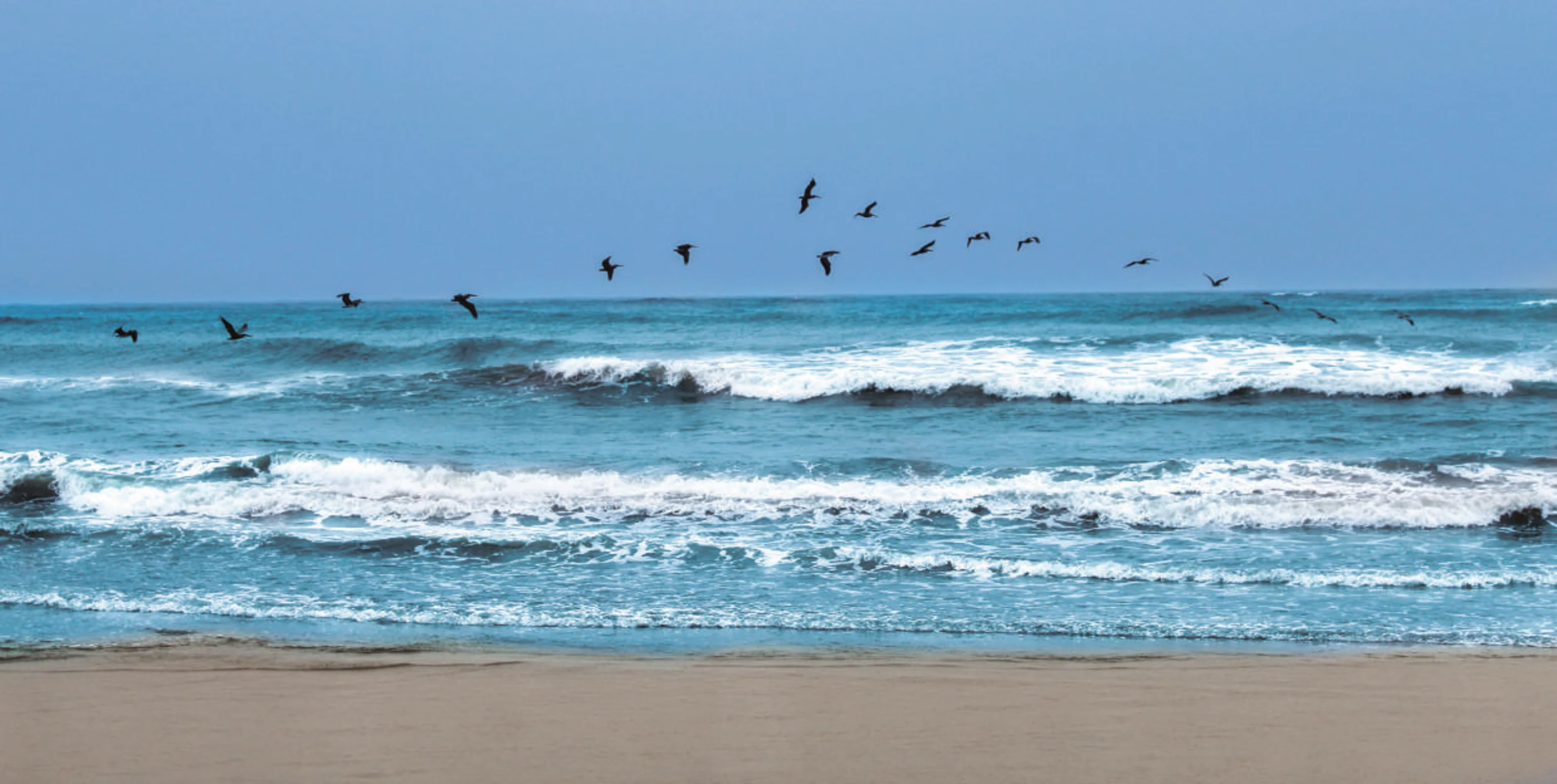 Playa Palmarito