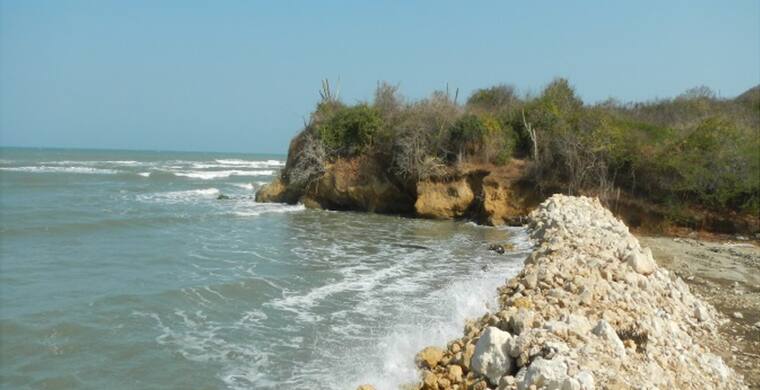 Playa Bocatocino — foto 2