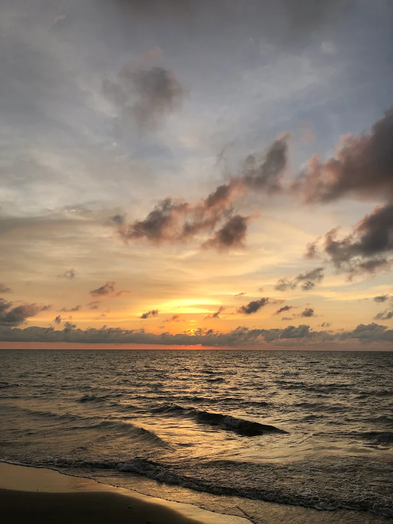Playa Palmarito — foto 2