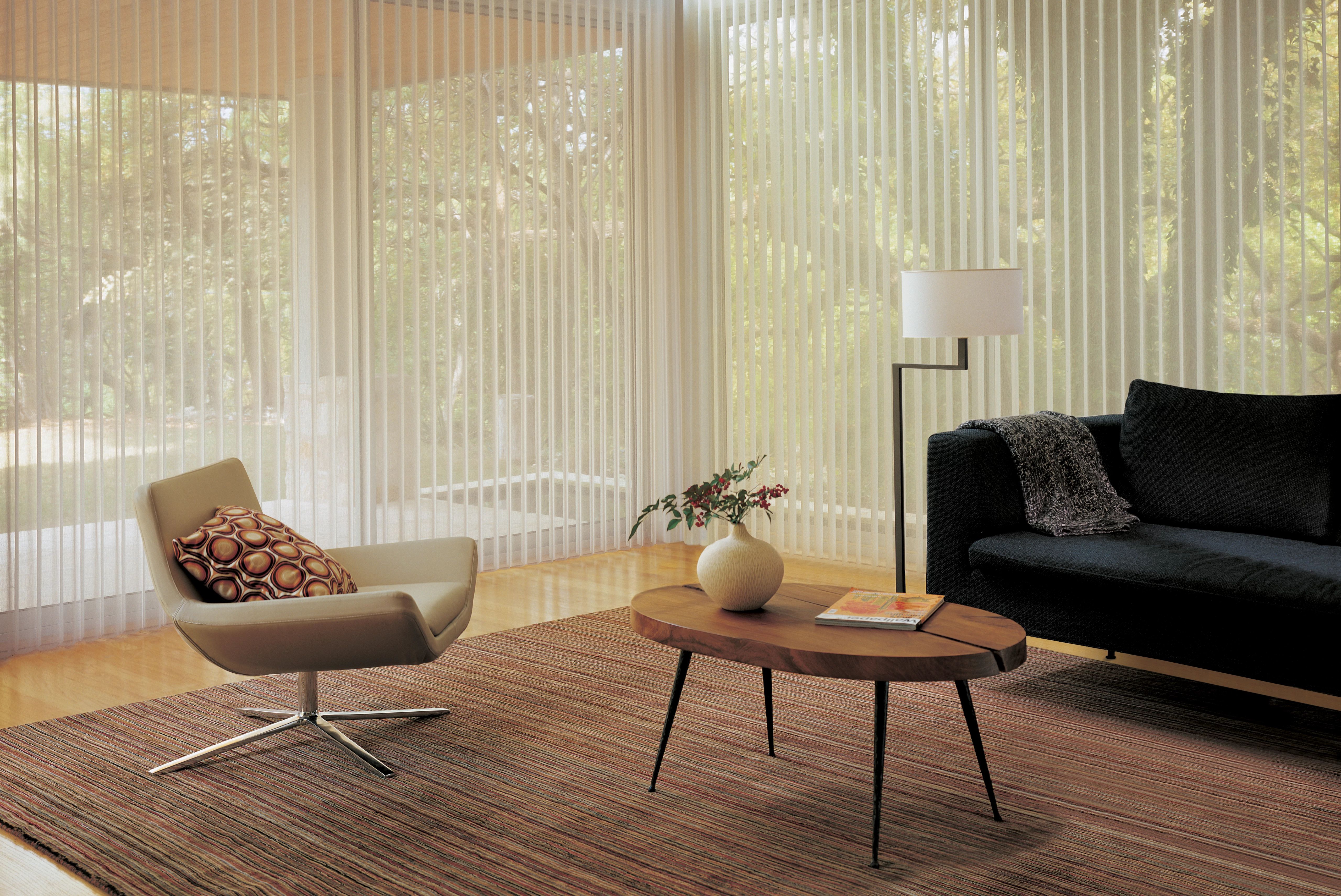 Living room with filtered light coming through sheer shades and blinds in Victoria BC
