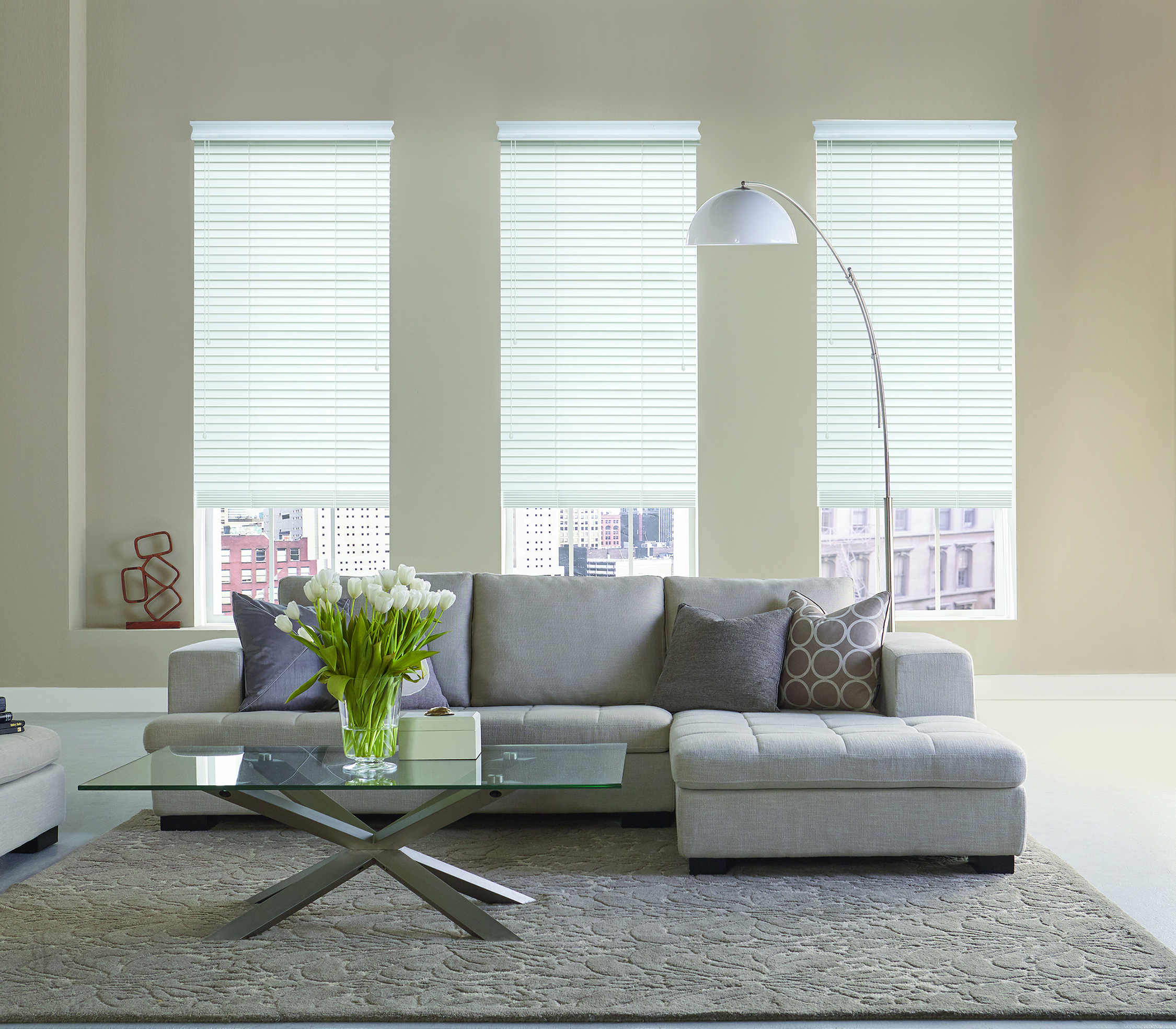 Venetian blinds in Living room setting