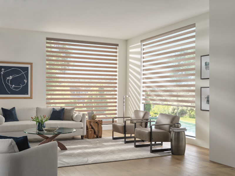 Sheer Zebra Shades in Living room setting