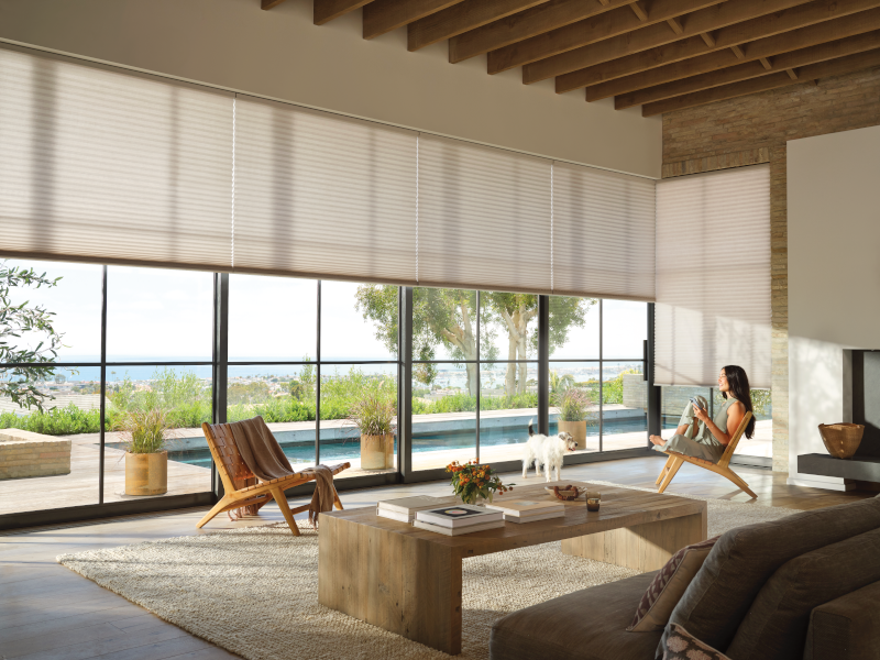 Solar roller shades in living room setting