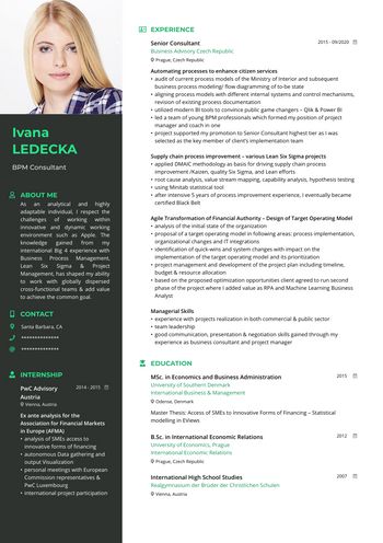 Resume BPM Consultant