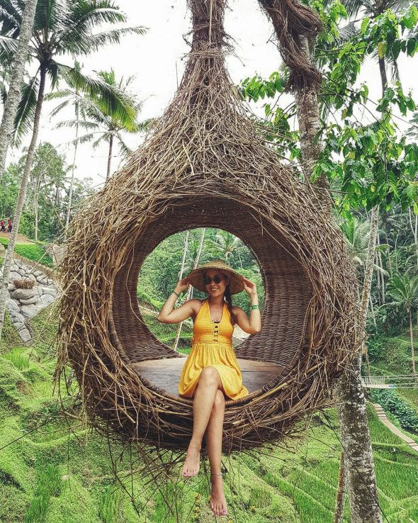 Bali Discover (Diwali Special)