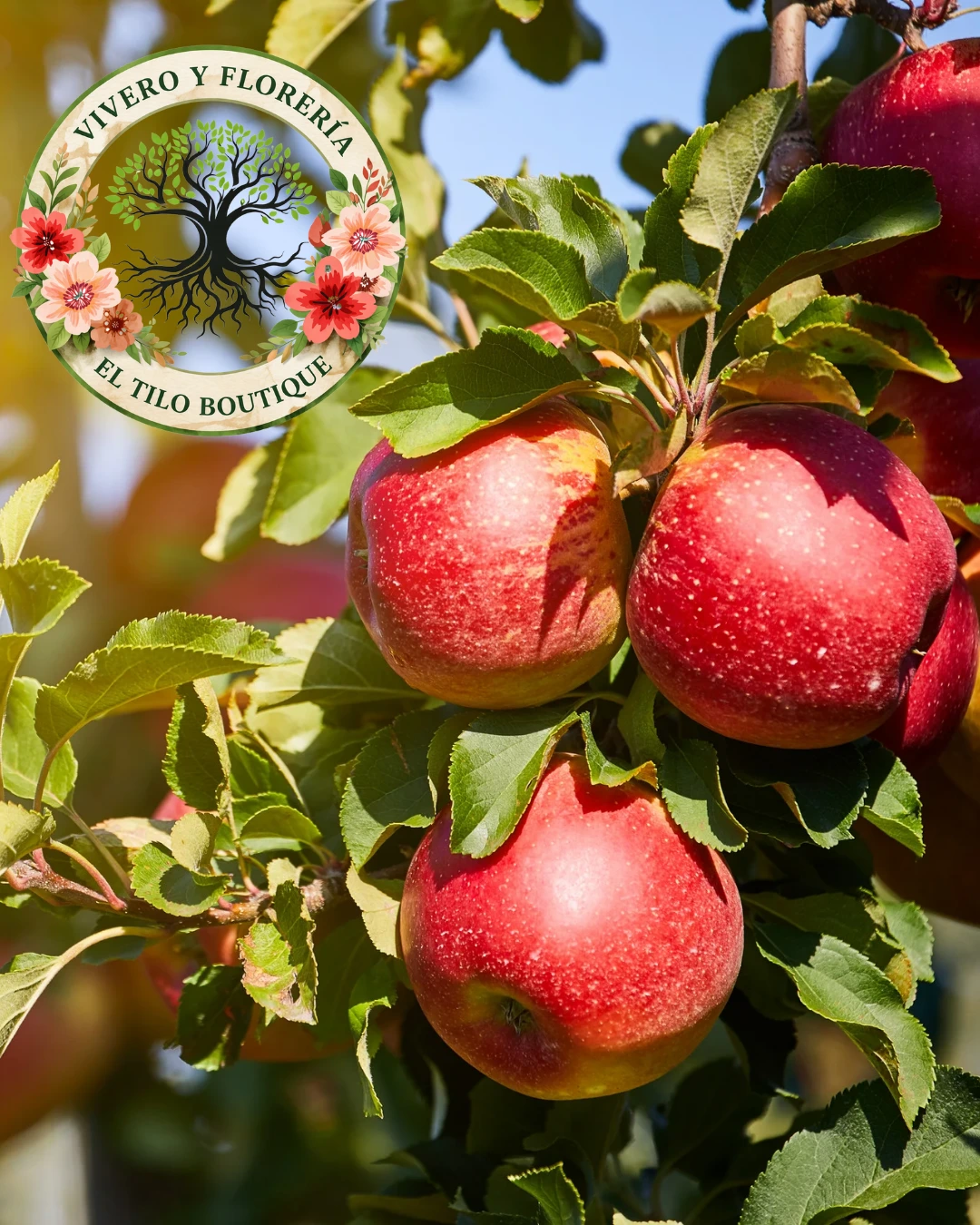 Manzana roja
