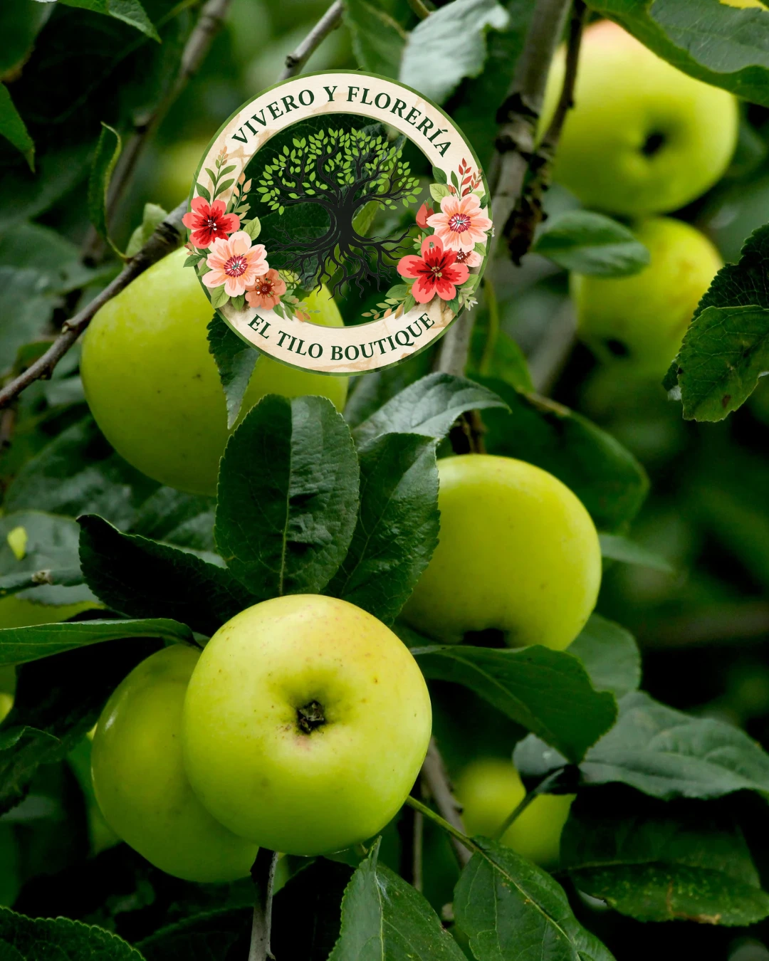 Manzana verde