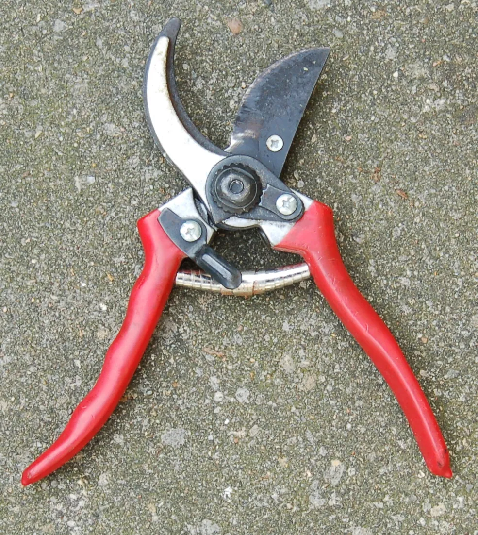 Open pruning shears with red handles