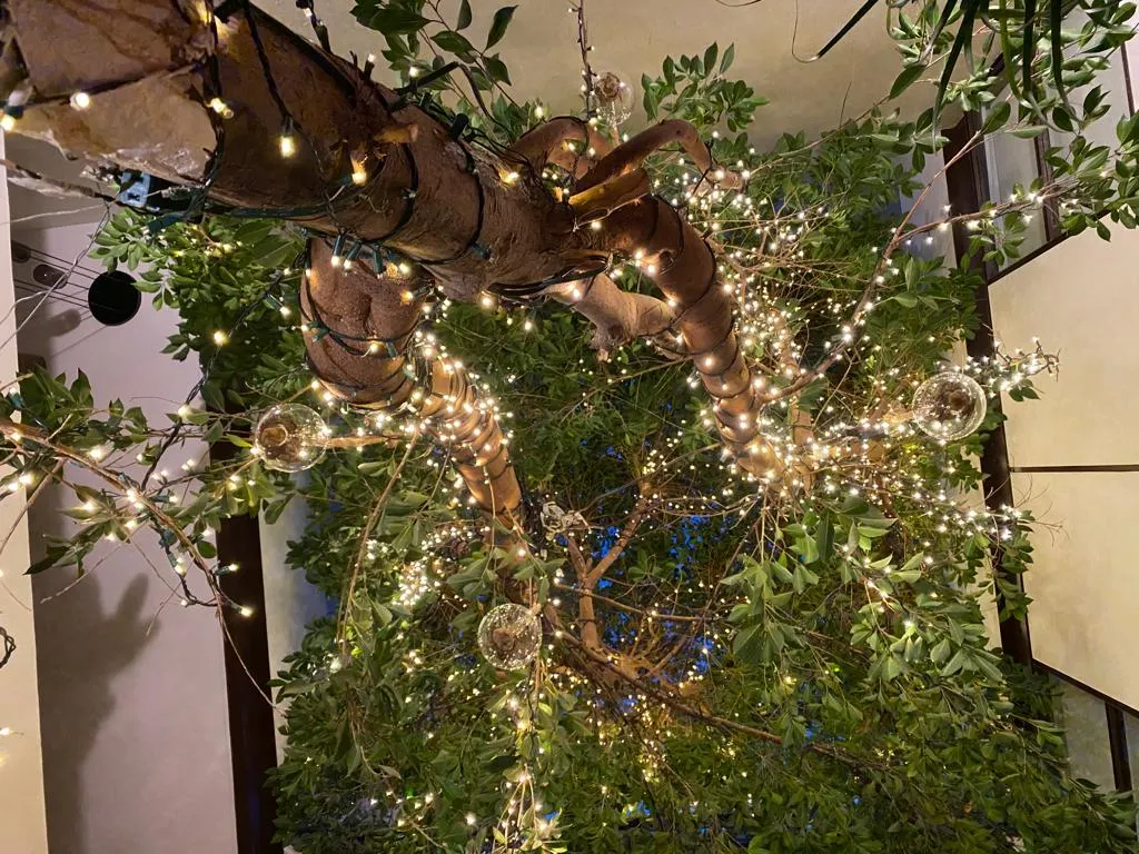 Local en Renta - Avenida Tulúm, Centro, Cancún - $15,000