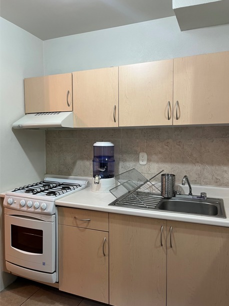 Departamento en San Pedro de los Pinos, en Renta - Vista 1