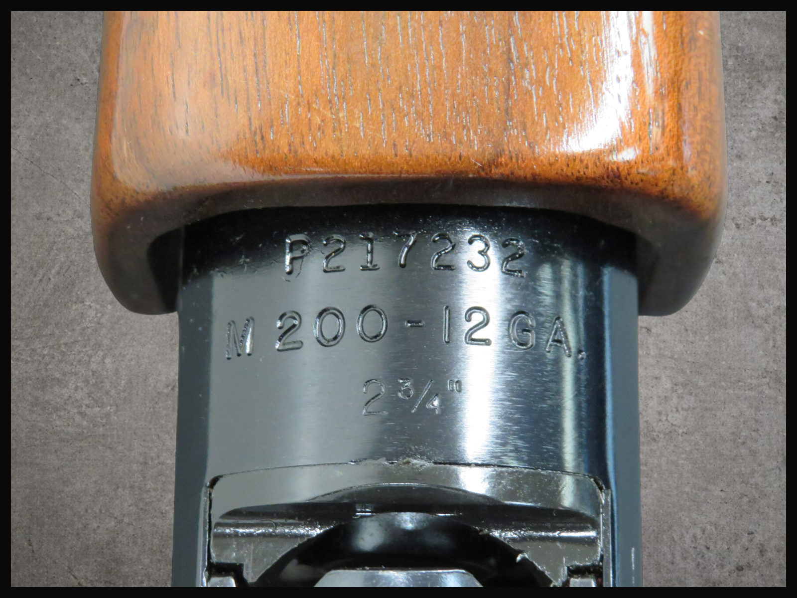 Sears Roebuck Ted Williams Model 200, 12 Ga Penny!-img-17