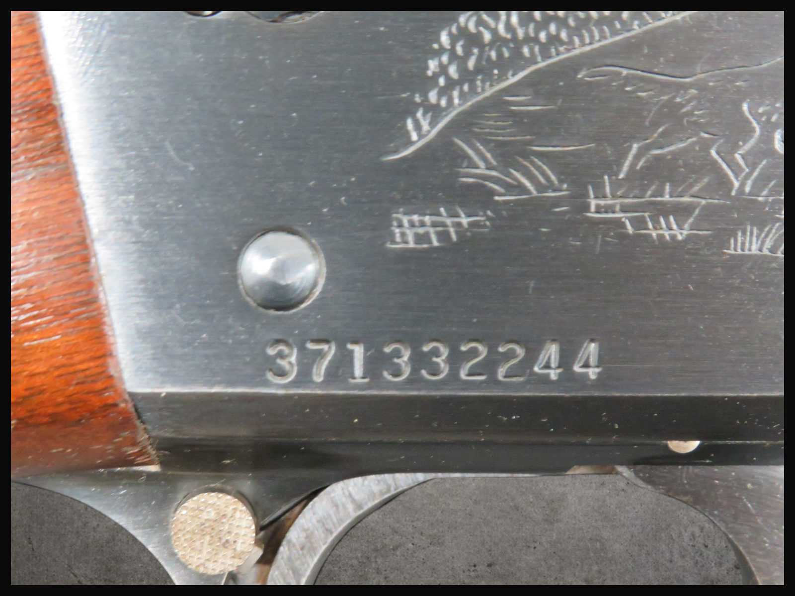 Ithaca Model 37 Featherlight 20 Ga Penny!-img-18