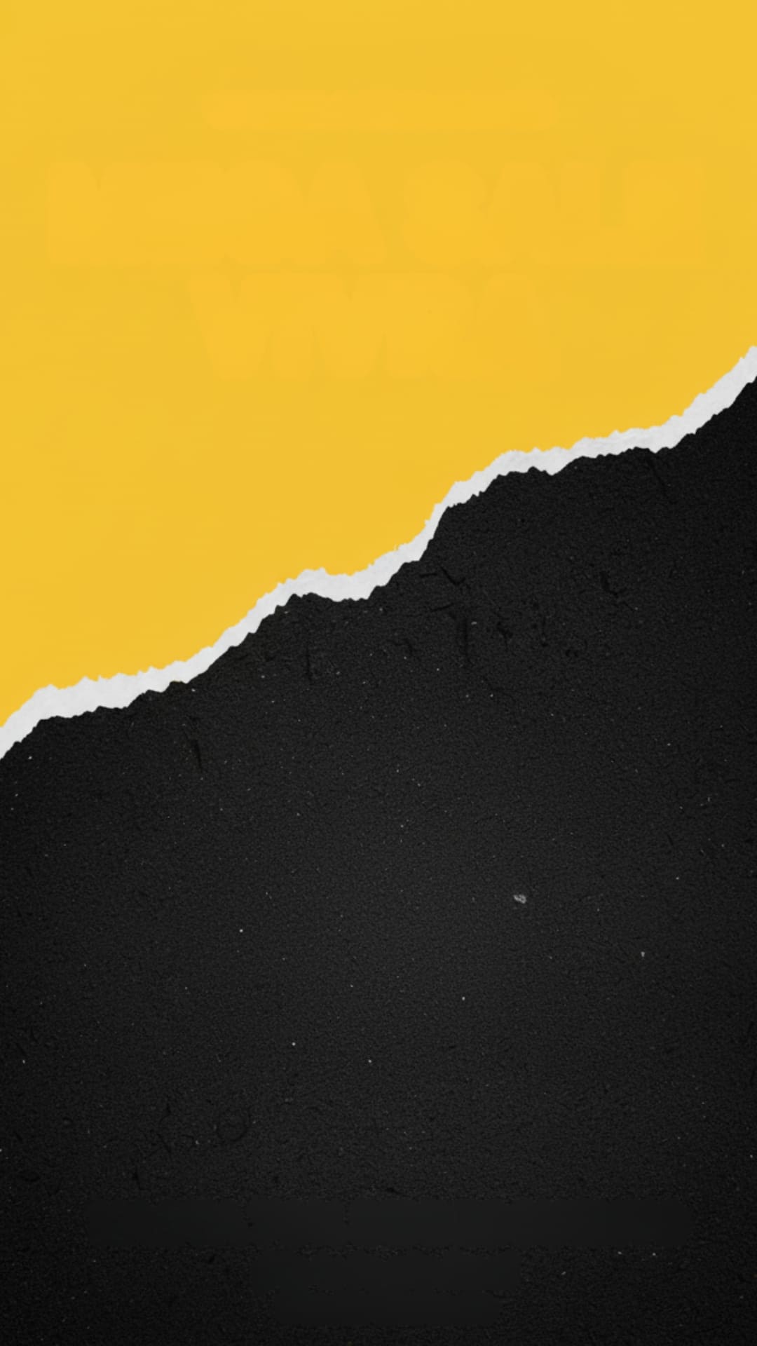 Promoción Black Days VIVRA