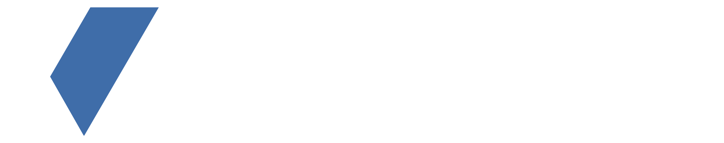 Viznez