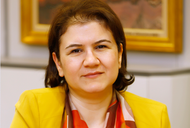 Özlem Açıkel Turhan London NewHam College’de Marketing Eğitimi Aldı. 1994'den itibaren kurucu olarak reklam ve pazarlama iletişimi ajansı Fora İletişim'de Ajans Başkan Yardımcılığı ve Başkanlık görevlerini sürdürdü. 2005 – 2006 yılları arasında Fora İletişim bünyesinde yayınlanan Anneyiz.biz Dergi’nin imtiyaz sahipliğini yaptı.