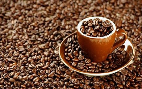 Türkiye ve Dünya Kahve Şirketleri listesi