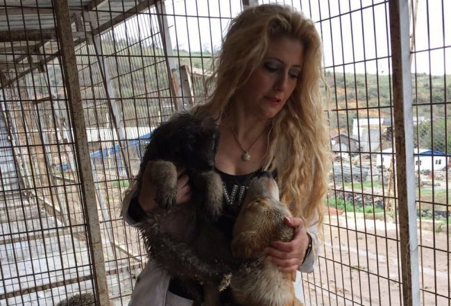 Özlem Çengel hayvan dostlarını harekete davet ediyor.