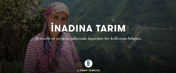 İnsanın toprağa olan bağı gerekli ve verici olduğu kadar zor ve meşakkatli de olabiliyor. İklim ve coğrafya olarak Karadeniz’den farklı olan Artvin’de de durum böyle.