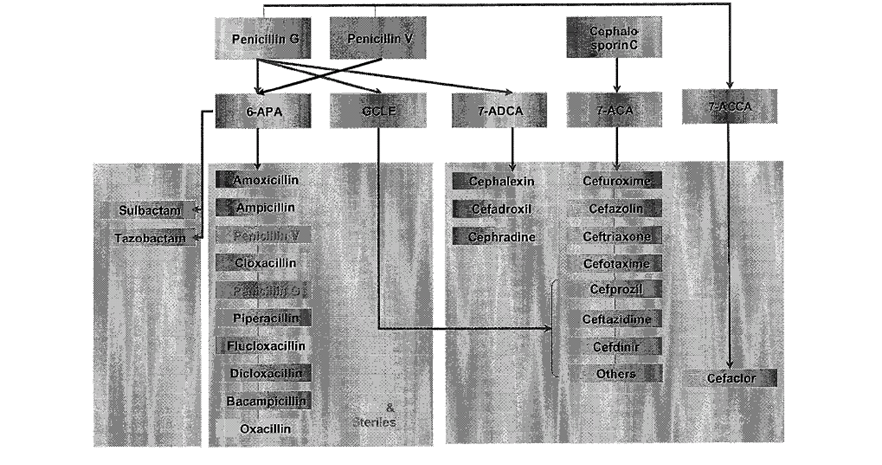 SCHEMA 1 v.png