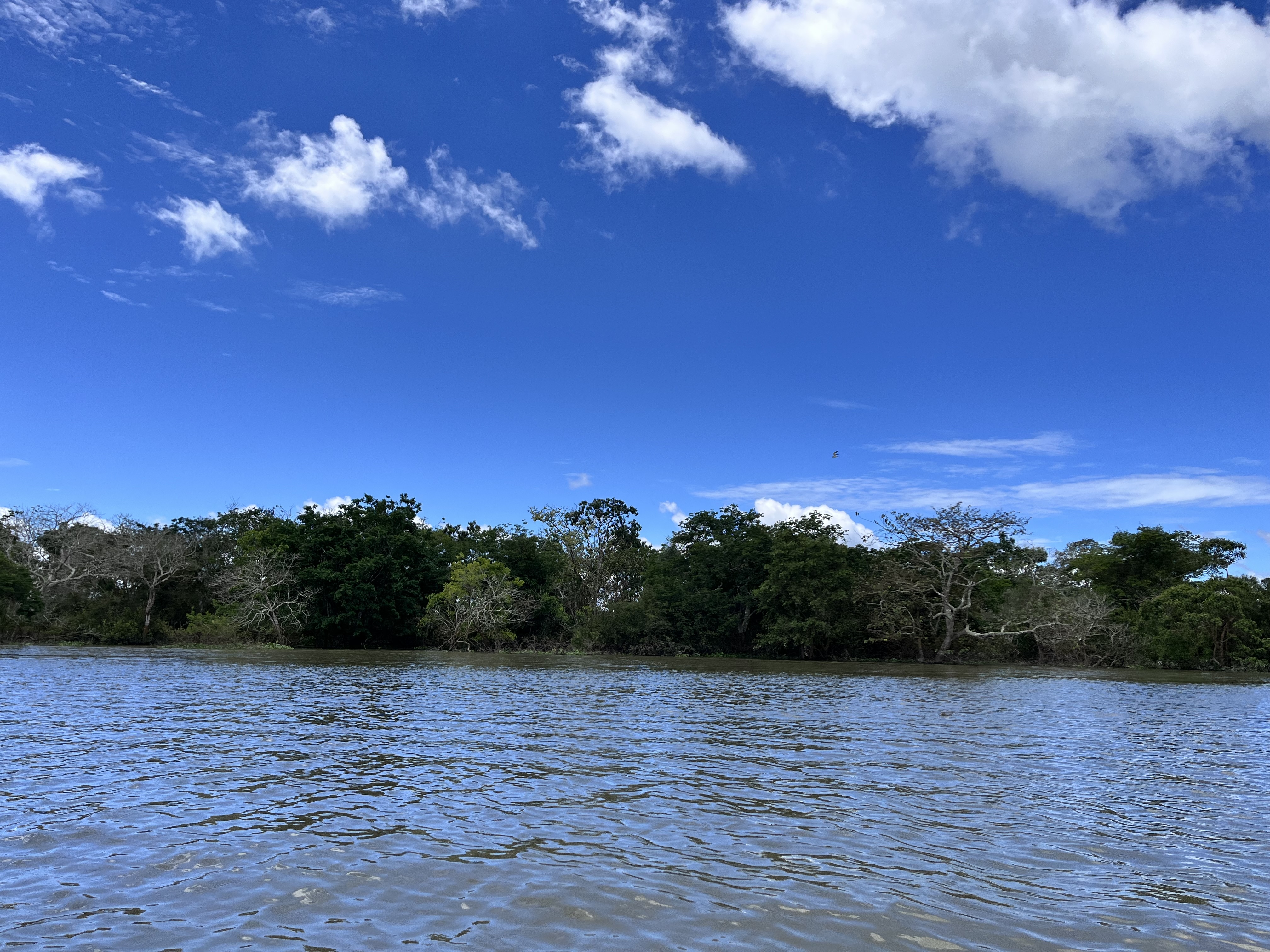 Yarinacocha Lake