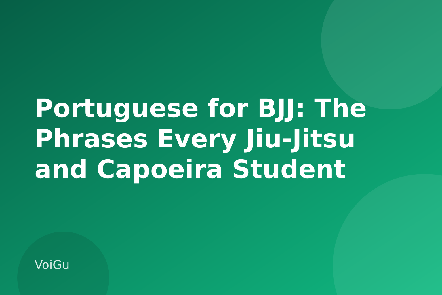 Portuguese for BJJ: The Phrases Every Jiu-Jitsu and Capoeira Student Should Know β VoiGu