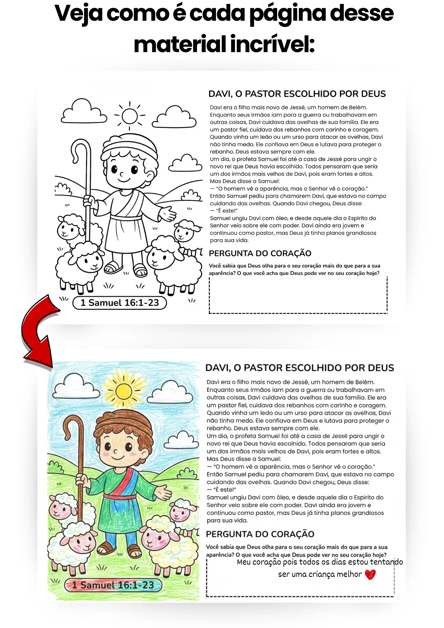 Nosso Material por dentro