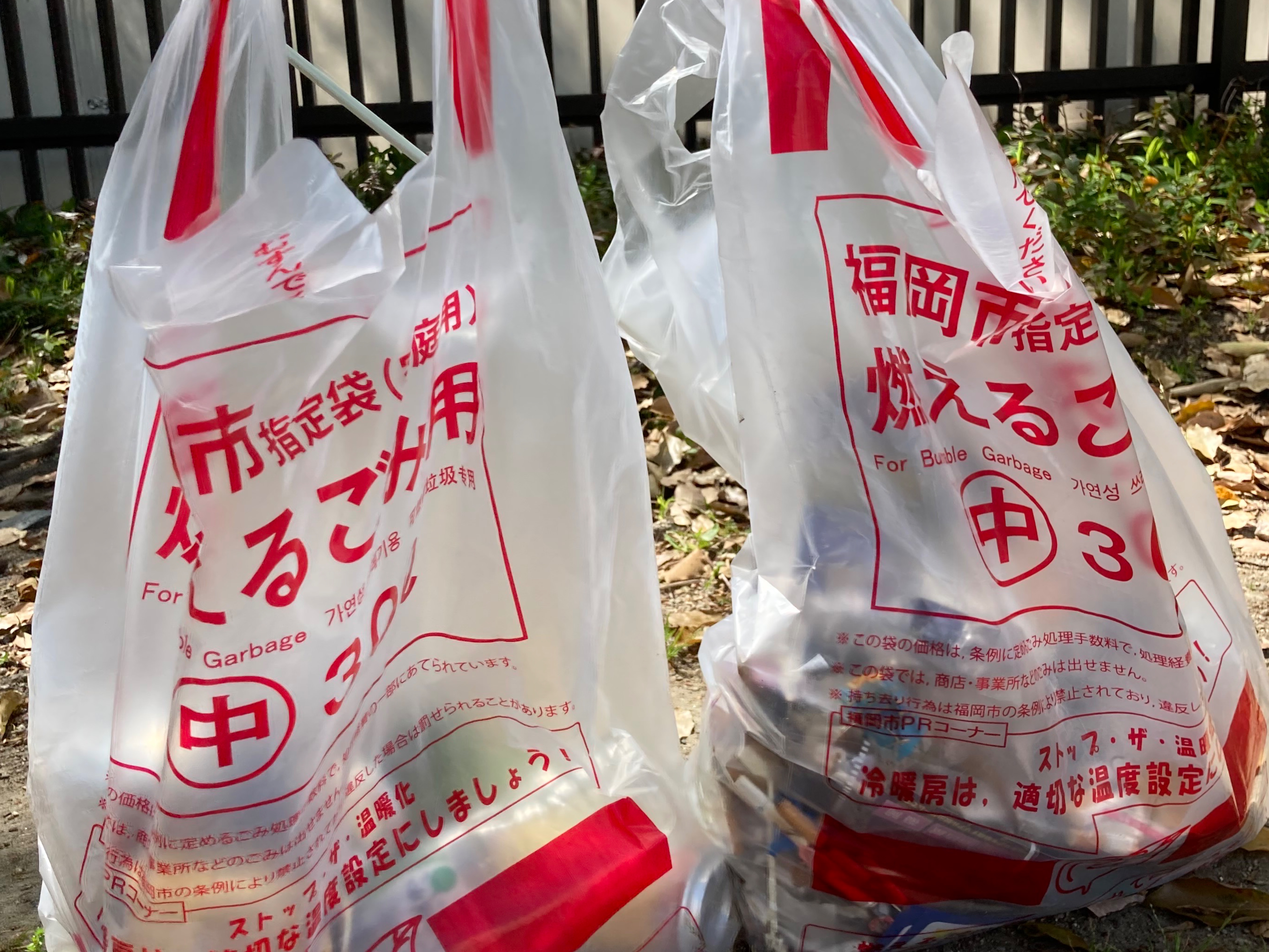 ちょっとゴミ拾っていかん?【清掃ボランティアin警固公園】の画像(2枚目/全2枚)