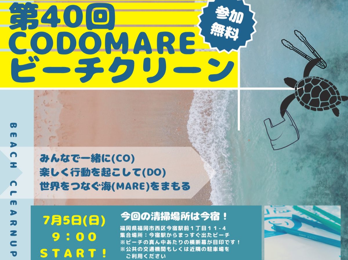 CODOMARE×ブルーサンタ2026の画像(1枚目/全2枚)