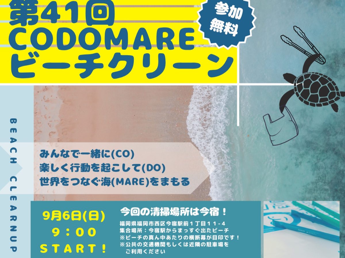 CODOMARE×WCD2026（ビーチクリーン）の画像（1枚目／全2枚）