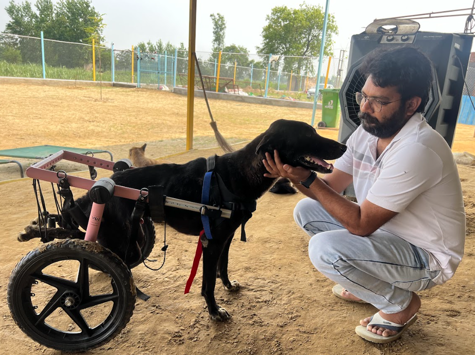 Harendra Singh with one of the rescued dogs