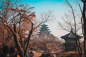 Seoul couple trip