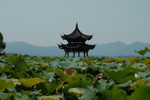 Things to Do in Hangzhou, solo trip