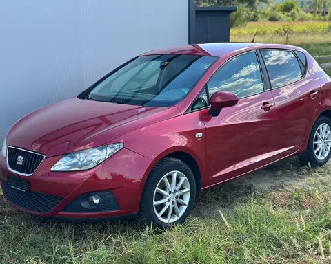 Seat Ibiza 2011