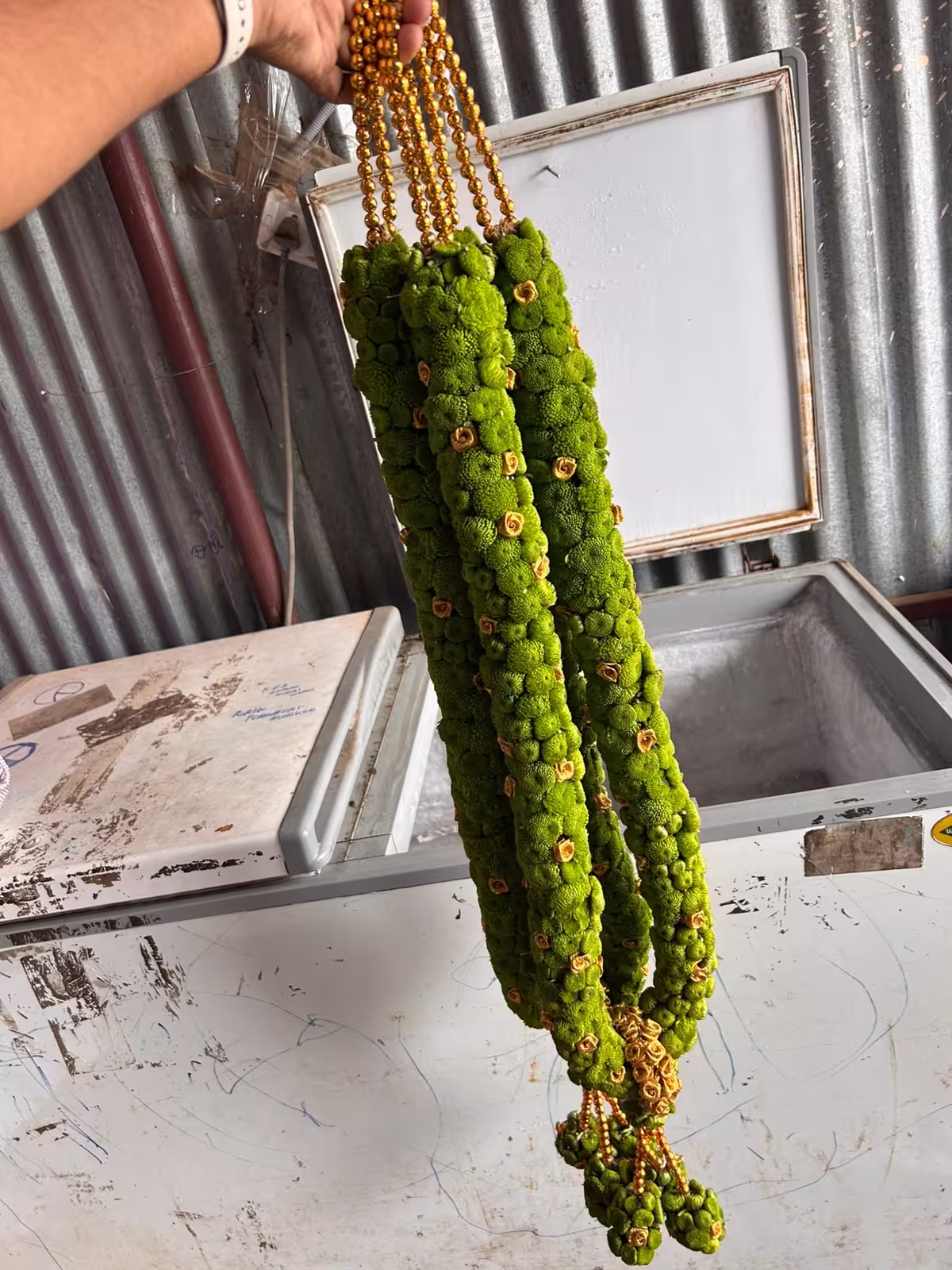 Premium Design Garland variation 2