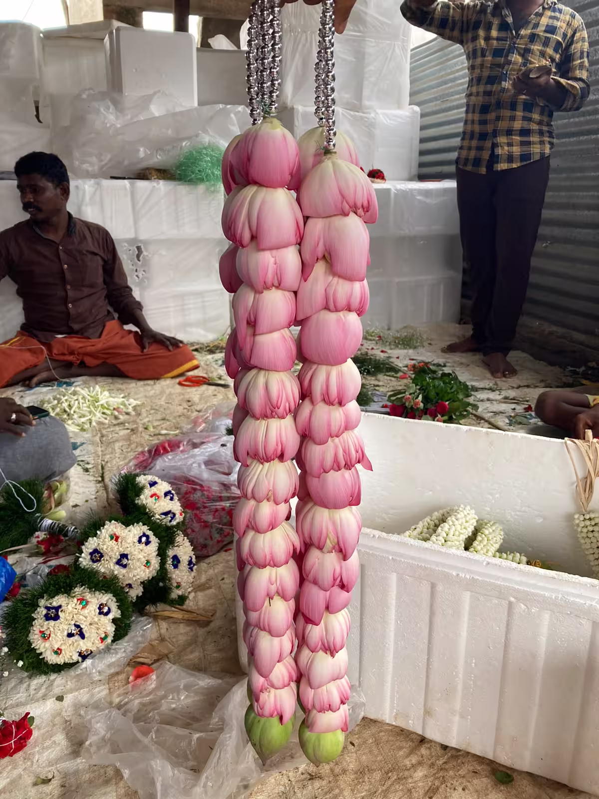 Lotus Garland variation 4