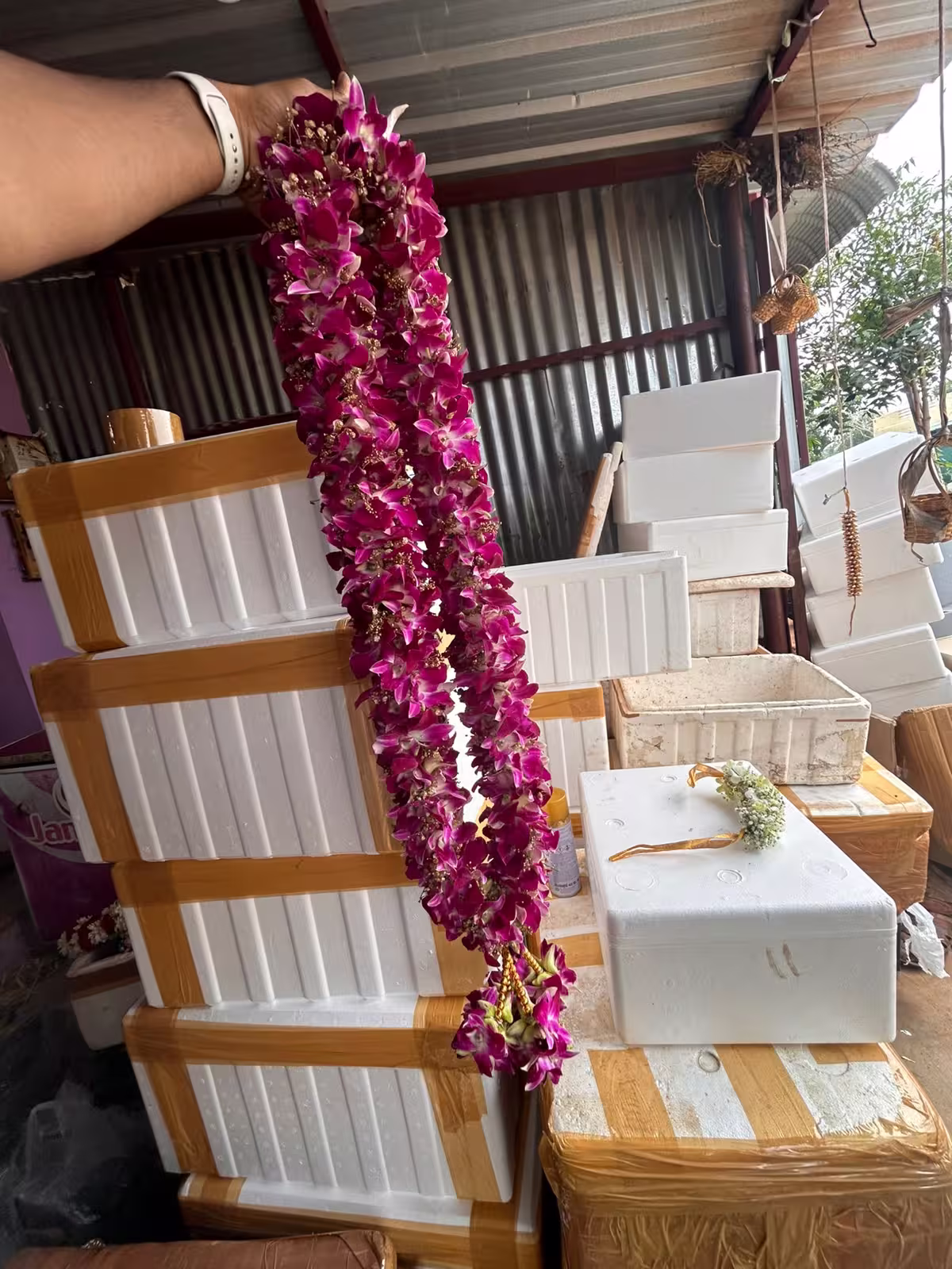 Orchid Garland variation 5