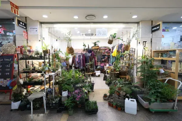 돌담