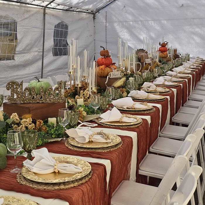 Nadine Party Rental