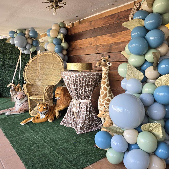 Nadine Party Rental