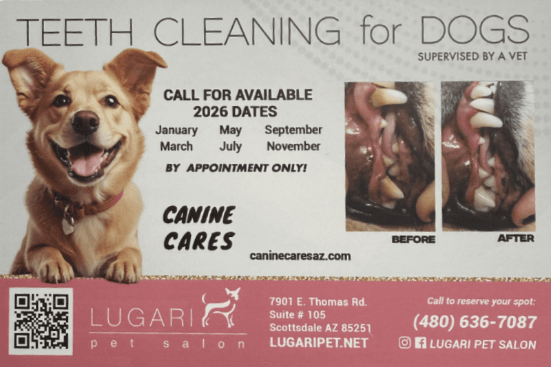 Lugari Pet Salon