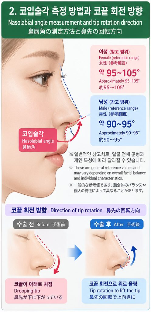 코입술각 측정 방법과 코끝 회전 방향 도식