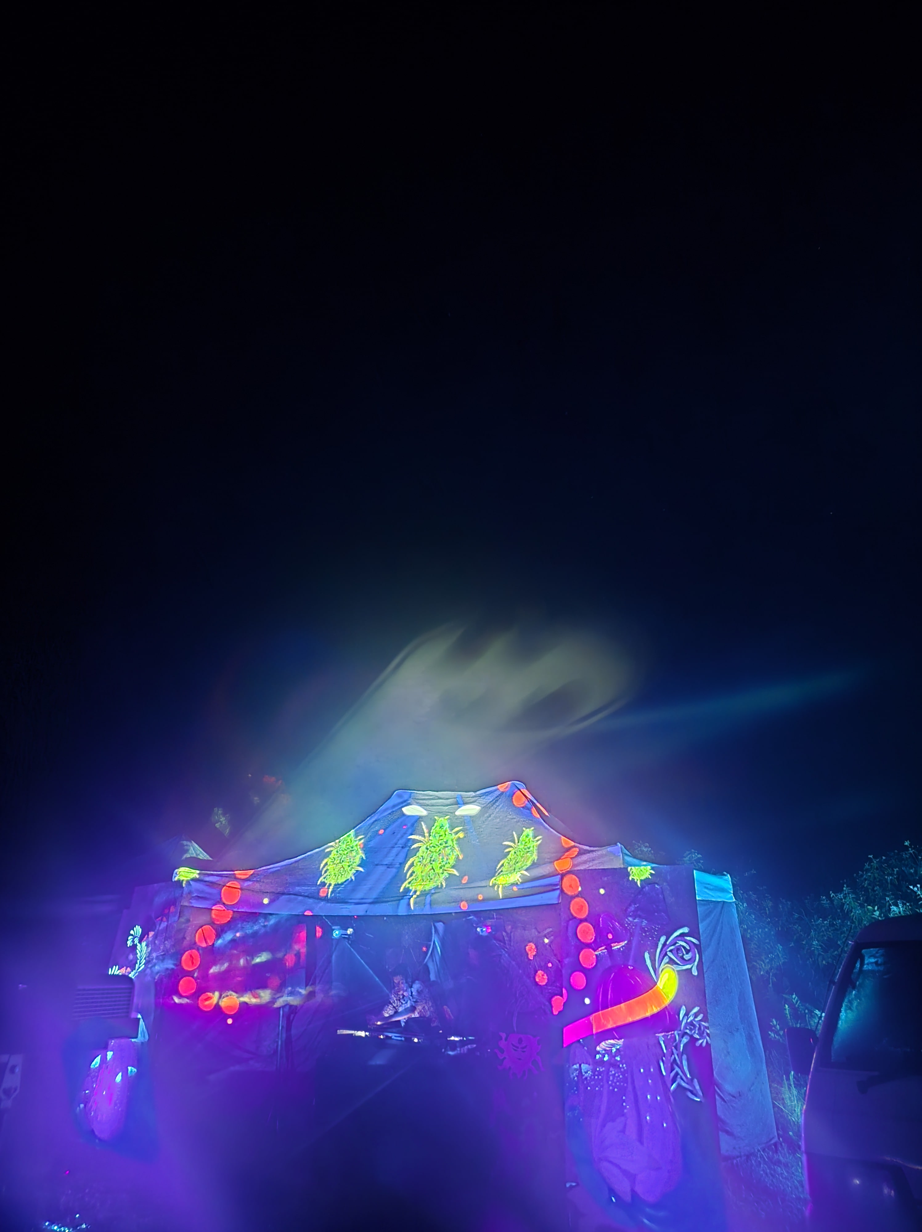 Flowers are speakers - afterparty — image 5