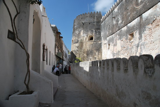 Explore Old Town Lamu