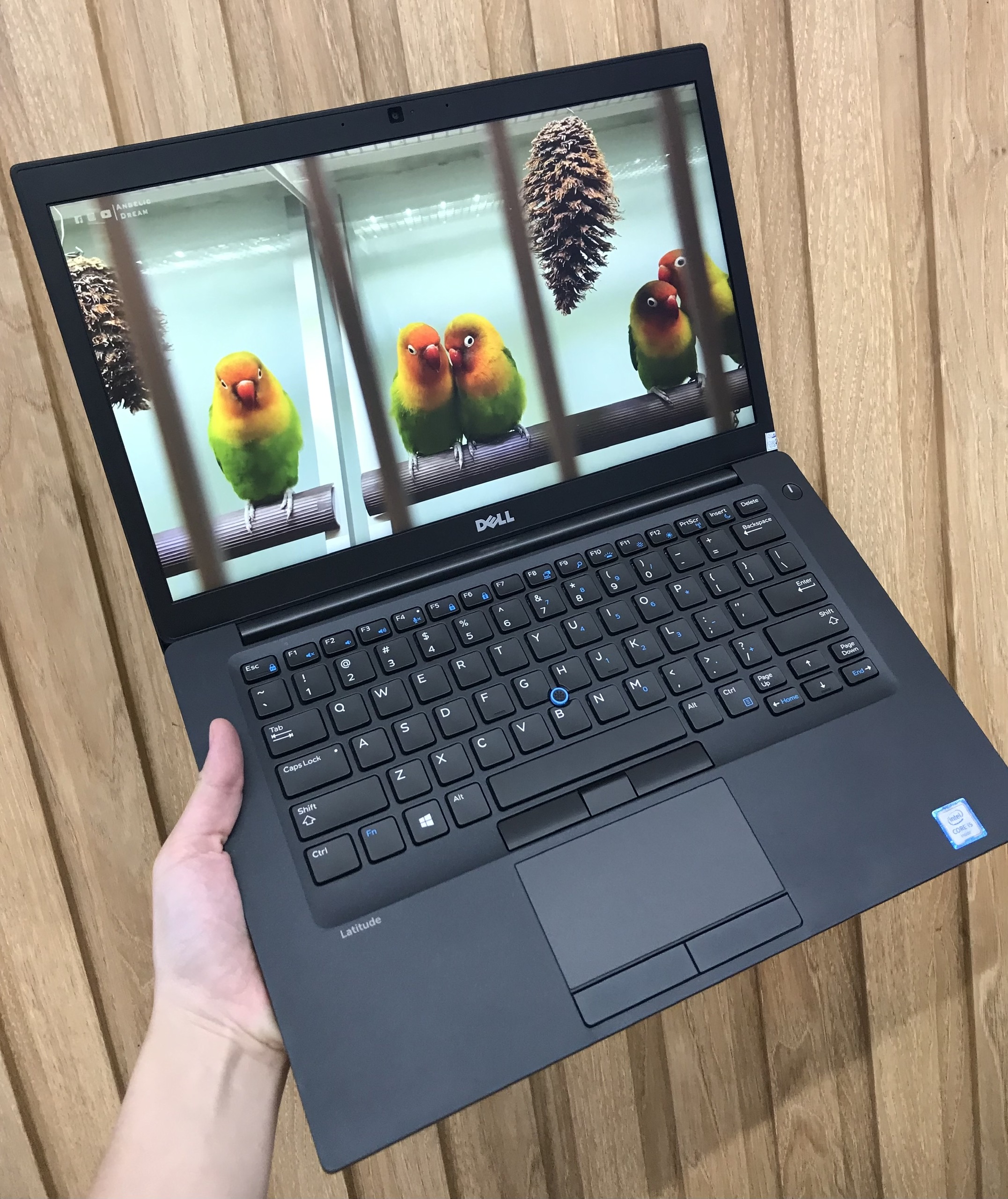 Laptop Dell Latitude E7490/ i5 8250 8CPUS/ 8G/ SSD256/ 14in i5 8250U/intel UHD/16GB /256GB /14" FHD Laptop Dell Latitude E7490/ i5 8250 8CPUS/ 8G/ SSD256/ 14in i5 8250U/intel UHD/16GB /256GB /14" FHD
