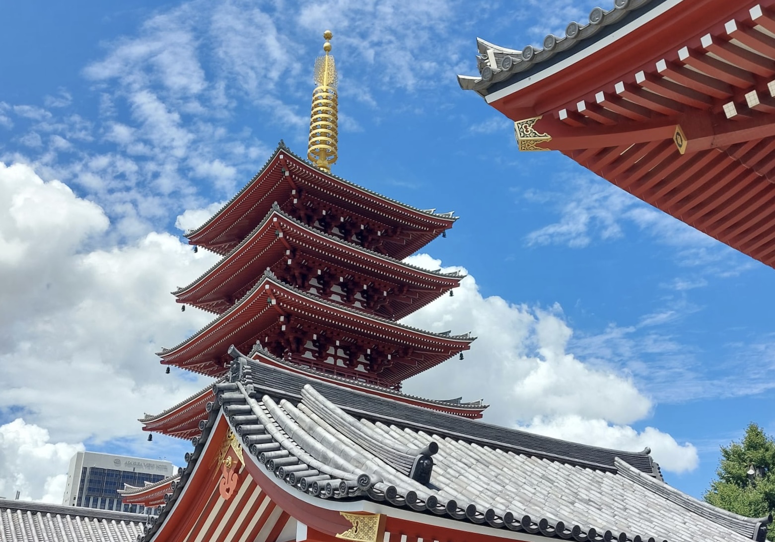 Tokyo tour · Día 1 2