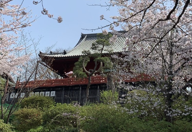 Tokyo tour · Día 1 4